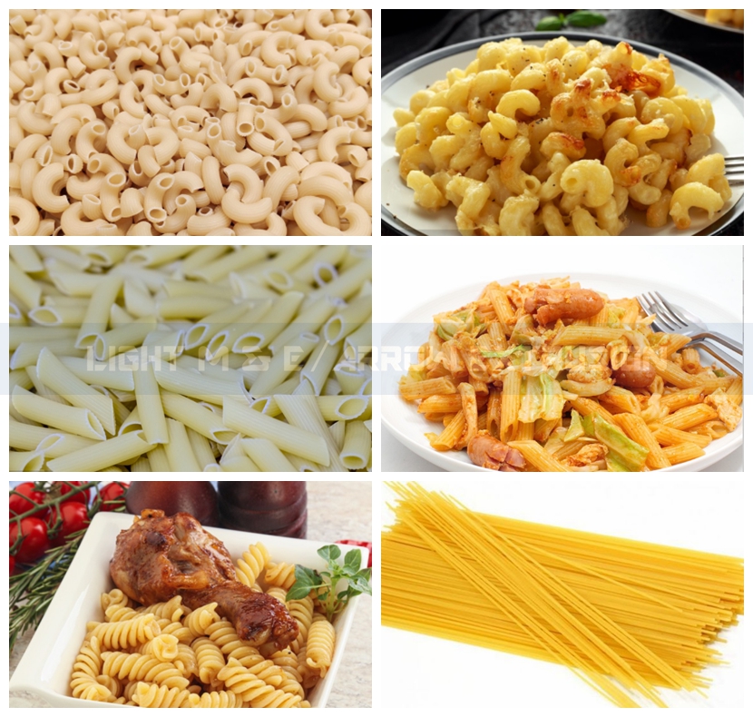 Stainless Steel Vegetable Noodle Maker Best Electric Pasta Maker Macaroni Making Machine