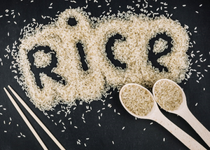 nutrient rice-2023022.png