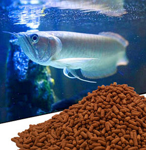 fish-feed-machine.jpg